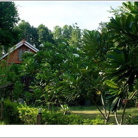 Phuphiangkhiangfah Resort Nan Room photo